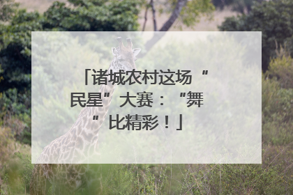 诸城农村这场“民星”大赛：“舞”比精彩！