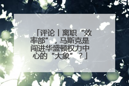评论丨离职“效率部”，马斯克是闯进华盛顿权力中心的“大象”？