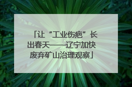 让“工业伤疤”长出春天——辽宁加快废弃矿山治理观察