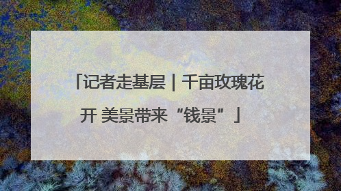 记者走基层｜千亩玫瑰花开 美景带来“钱景”
