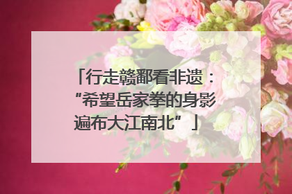 行走赣鄱看非遗：“希望岳家拳的身影遍布大江南北”