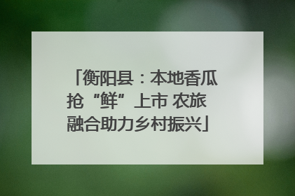 衡阳县：本地香瓜抢“鲜”上市 农旅融合助力乡村振兴
