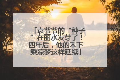 袁爷爷的“种子”在丽水发芽了！四年后，他的禾下乘凉梦这样延续