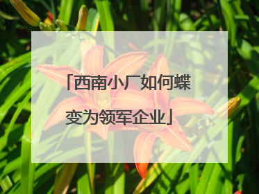 西南小厂如何蝶变为领军企业