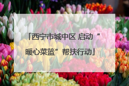 西宁市城中区 启动“暖心菜篮”帮扶行动