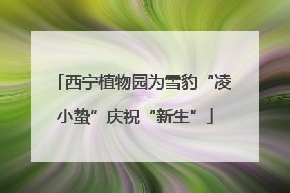 西宁植物园为雪豹“凌小蛰”庆祝“新生”