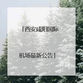 西安咸阳国际机场最新公告