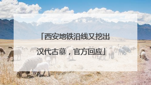 西安地铁沿线又挖出汉代古墓，官方回应