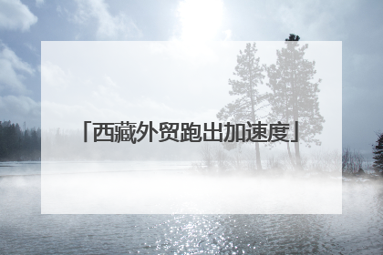 西藏外贸跑出加速度