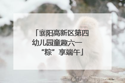 襄阳高新区第四幼儿园童趣六一 “粽”享端午