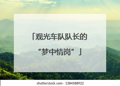 观光车队队长的“梦中情岗”