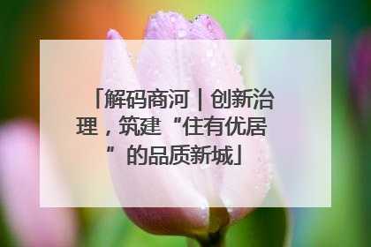 解码商河｜创新治理，筑建“住有优居”的品质新城