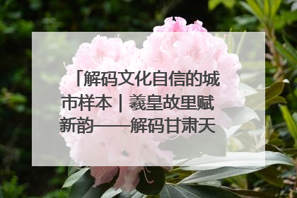 解码文化自信的城市样本｜羲皇故里赋新韵——解码甘肃天水的文化自信样本