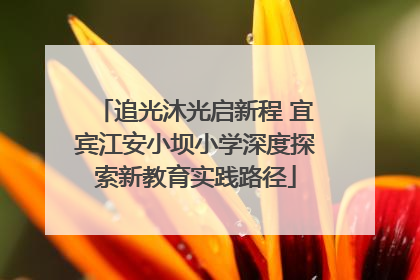 追光沐光启新程 宜宾江安小坝小学深度探索新教育实践路径