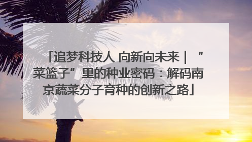追梦科技人 向新向未来｜“菜篮子”里的种业密码：解码南京蔬菜分子育种的创新之路
