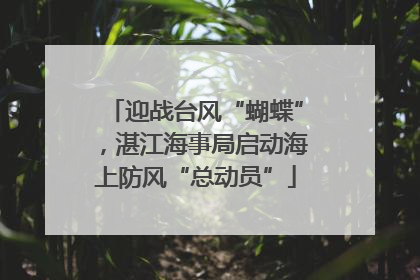 迎战台风“蝴蝶”，湛江海事局启动海上防风“总动员”