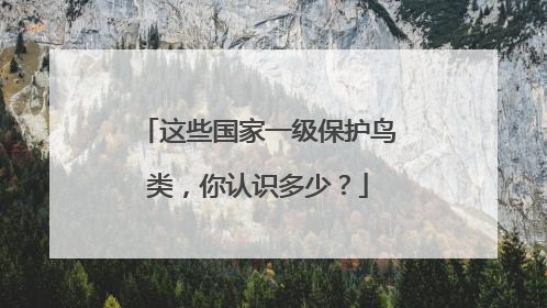 这些国家一级保护鸟类，你认识多少？