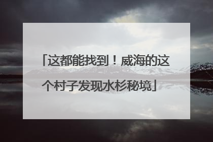 这都能找到！威海的这个村子发现水杉秘境