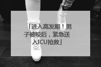进入高发期！男子被咬后，紧急送入ICU抢救