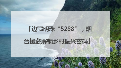 边疆明珠“5288”，烟台援藏解锁乡村振兴密码