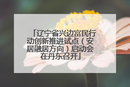 辽宁省兴边富民行动创新推进试点（安居融居方向）启动会在丹东召开