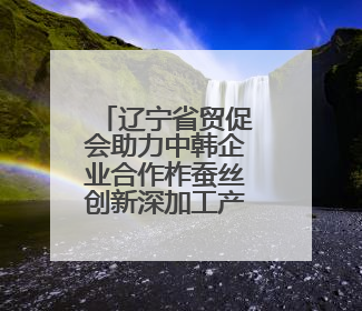辽宁省贸促会助力中韩企业合作柞蚕丝创新深加工产品