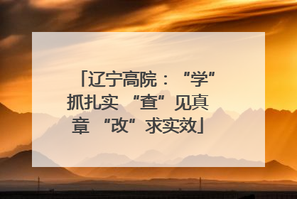 辽宁高院：“学”抓扎实 “查”见真章 “改”求实效