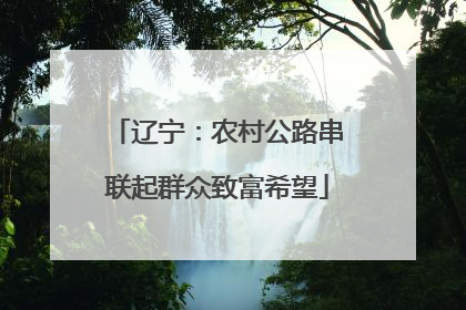 辽宁：农村公路串联起群众致富希望