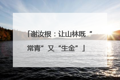 谢汝根：让山林既“常青”又“生金”