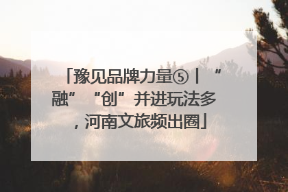 豫见品牌力量⑤丨“融”“创”并进玩法多，河南文旅频出圈