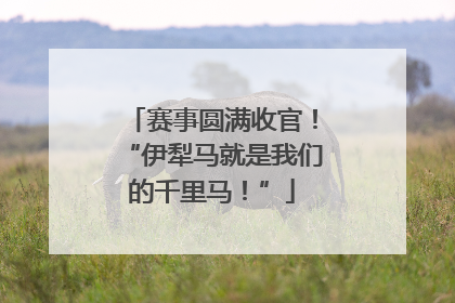 赛事圆满收官！“伊犁马就是我们的千里马！”