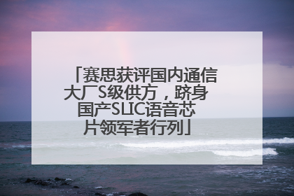 赛思获评国内通信大厂S级供方，跻身国产SLIC语音芯片领军者行列