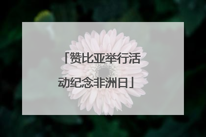 赞比亚举行活动纪念非洲日
