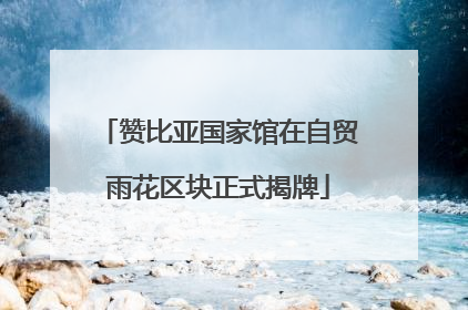 赞比亚国家馆在自贸雨花区块正式揭牌