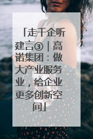 走千企听建言③｜高诺集团：做大产业服务业，给企业更多创新空间