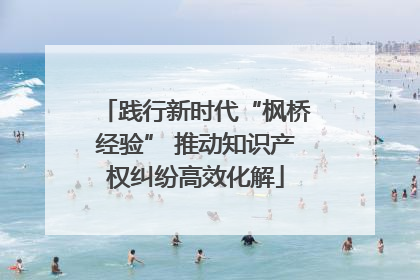 践行新时代“枫桥经验” 推动知识产权纠纷高效化解