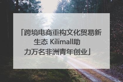 跨境电商重构文化贸易新生态 Kilimall助力万名非洲青年创业