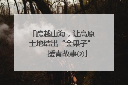 跨越山海，让高原土地结出“金果子”——援青故事②