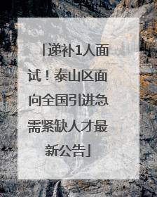 递补1人面试！泰山区面向全国引进急需紧缺人才最新公告