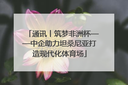 通讯丨筑梦非洲杯——中企助力坦桑尼亚打造现代化体育场