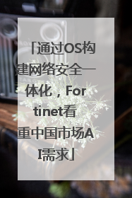 通过OS构建网络安全一体化，Fortinet看重中国市场AI需求