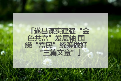 遂昌谋实建强“金色共富”发展轴 围绕“富民”统筹做好“三篇文章”