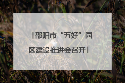 邵阳市“五好”园区建设推进会召开