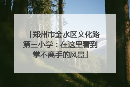 郑州市金水区文化路第三小学：在这里看到拳不离手的风景