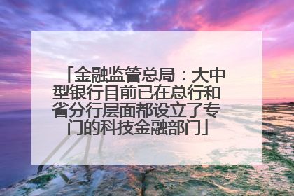 金融监管总局：大中型银行目前已在总行和省分行层面都设立了专门的科技金融部门