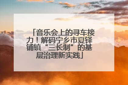 音乐会上的寻车接力！解码宁乡市夏铎铺镇“三长制”的基层治理新实践