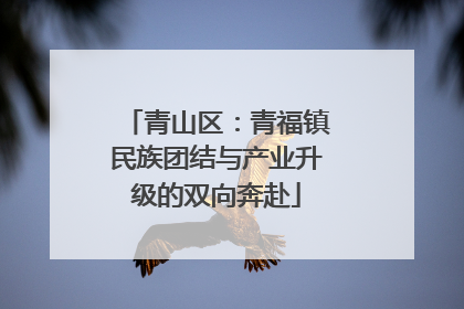 青山区：青福镇民族团结与产业升级的双向奔赴