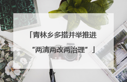 青林乡多措并举推进“两清两改两治理”
