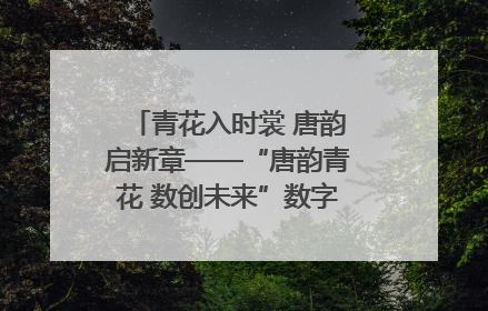 青花入时裳 唐韵启新章——“唐韵青花 数创未来”数字文创设计大赛启幕