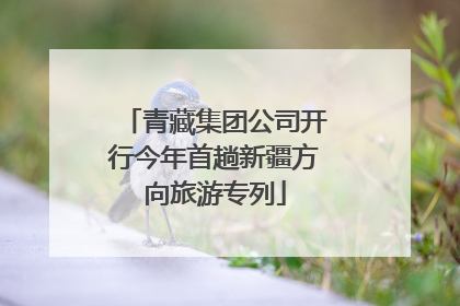 青藏集团公司开行今年首趟新疆方向旅游专列